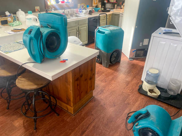 Best Commercial water damage restoration  in Dupo, IL