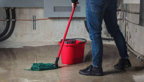 Best Sewage cleanup and water damage restoration  in Dupo, IL