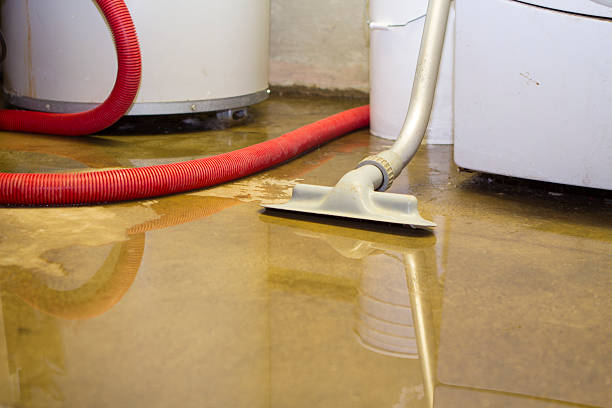 Best Emergency water damage restoration  in Dupo, IL
