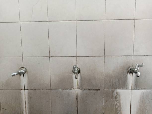 Best Water damage cleanup near me  in Dupo, IL