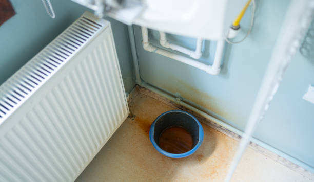 Best Water damage restoration near me  in Dupo, IL