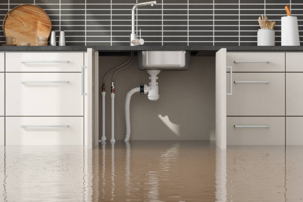 Best Residential water damage restoration  in Dupo, IL