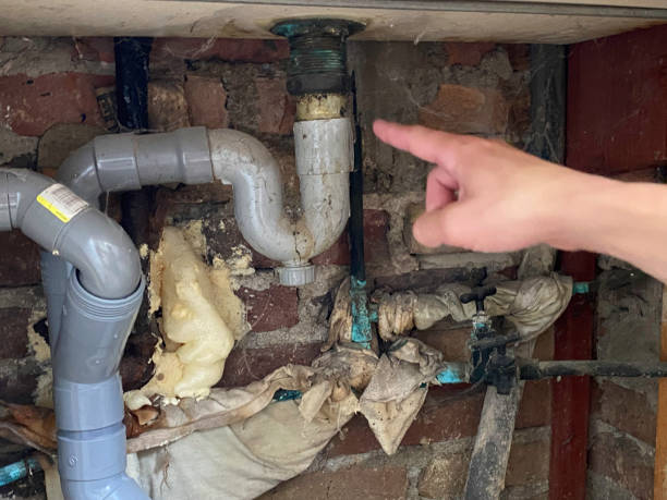 Best 24-hour water damage restoration  in Dupo, IL