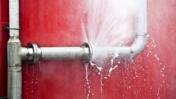 Best Water damage restoration company  in Dupo, IL