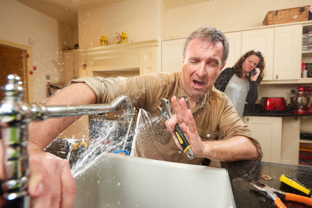 Best Flood restoration services  in Dupo, IL